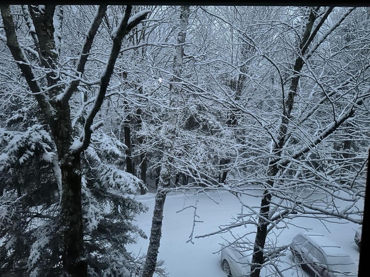 Stratton Valley Vermont Getaway! Newly Renovated! מראה חיצוני תמונה